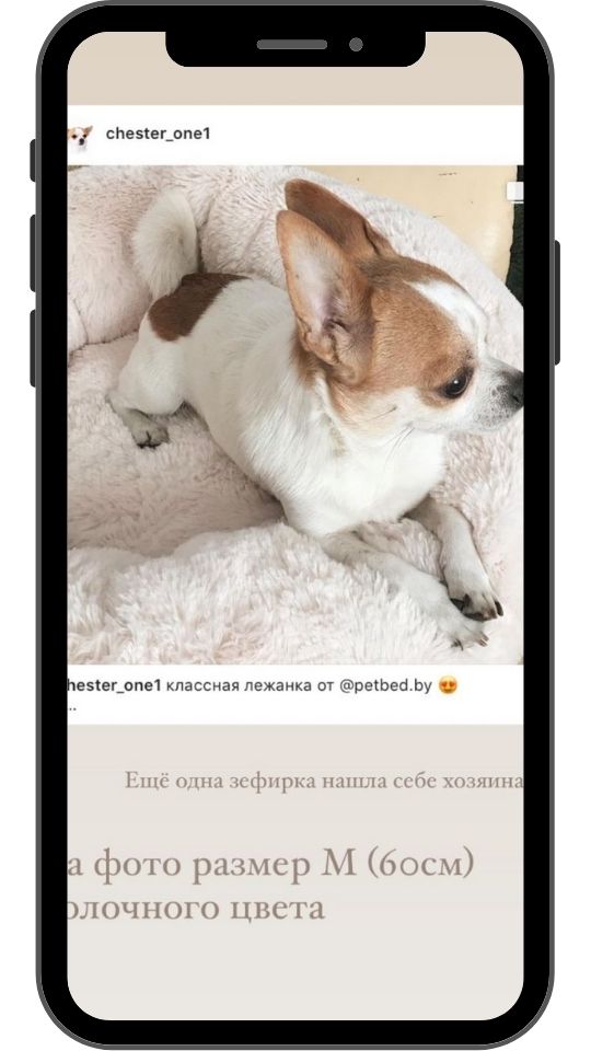 лежанка для питомцев купить в минске